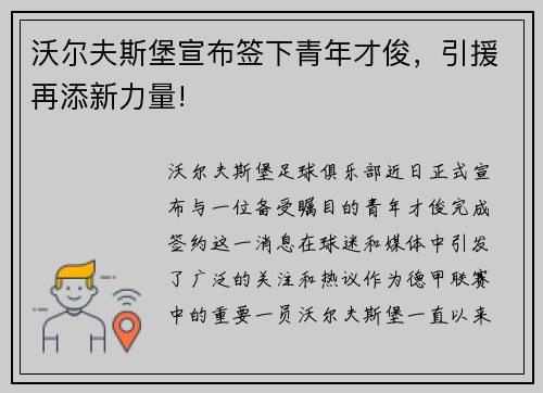 沃尔夫斯堡宣布签下青年才俊，引援再添新力量!