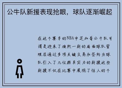 公牛队新援表现抢眼，球队逐渐崛起
